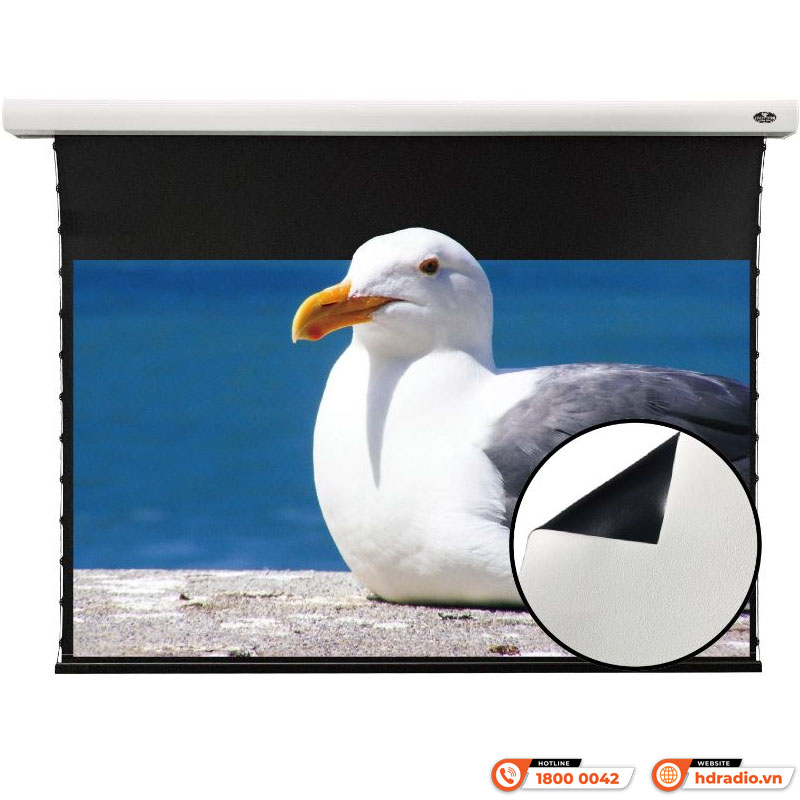Màn chiếu điện Tab-tensioned Vividstorm VMSLW150H-1