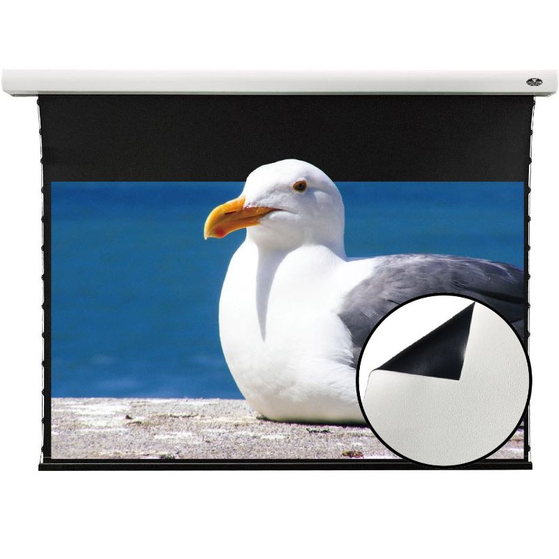 Màn chiếu điện Tab-tensioned Vividstorm VMSLW150H