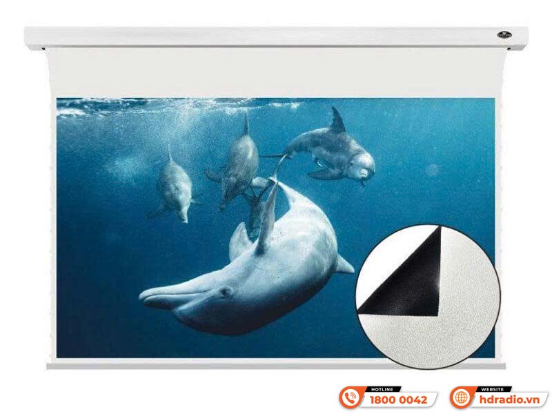 Màn chiếu Vividstorm VMSLWA120H