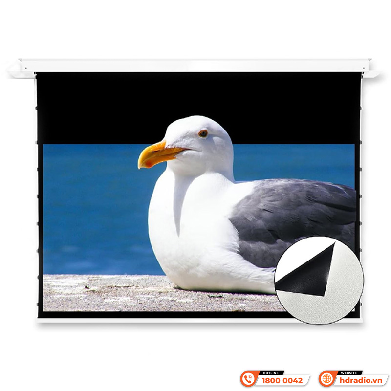 Màn chiếu âm trần Vividstorm VPCLW100H, 100 Inch-1