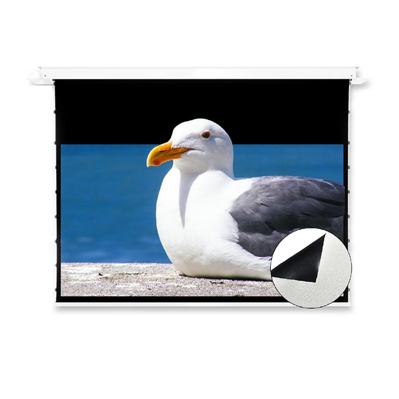 Màn chiếu âm trần Vividstorm VPCLW100H, 100 Inch