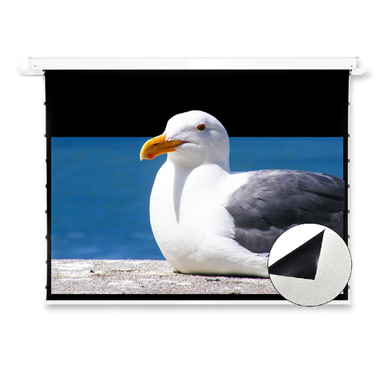 Màn chiếu âm trần Vividstorm VPCLW110H