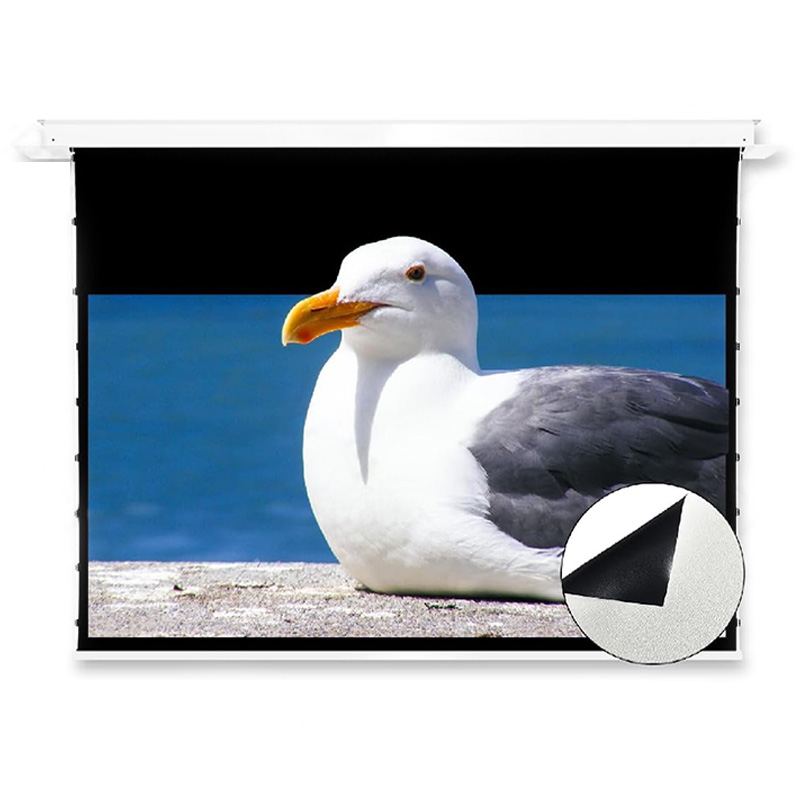 Màn chiếu âm trần Vividstorm VPCLW120H