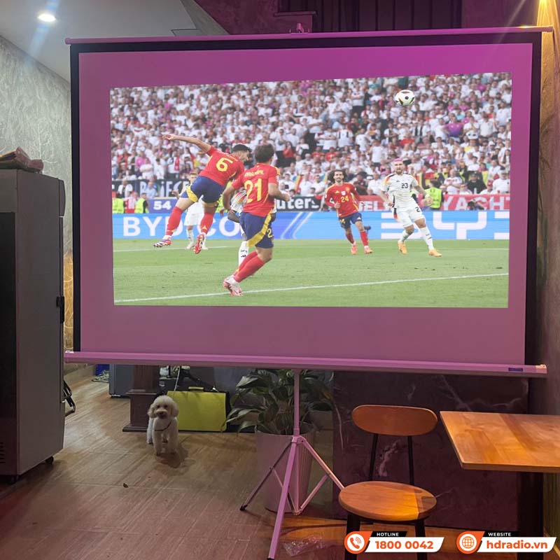 Màn chiếu 3 chân Dalite, Kích thước từ 72 inch - 150 inch-3