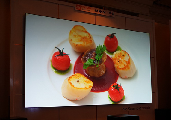 Màn chiếu DNP Blade