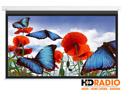 Màn chiếu quang học DNP Flex 120 inch (16:9)