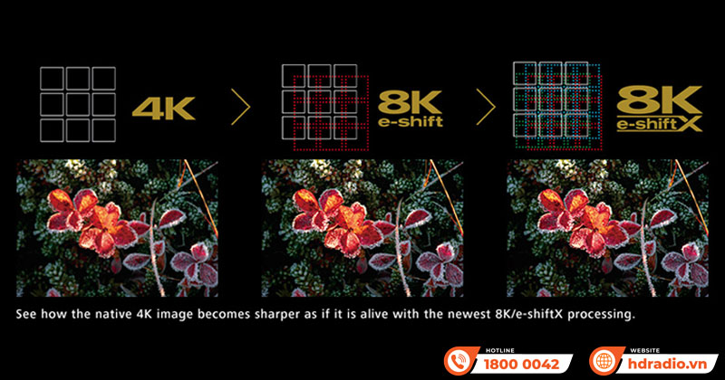 Máy Chiếu 8k JVC DLA-NZ900BE