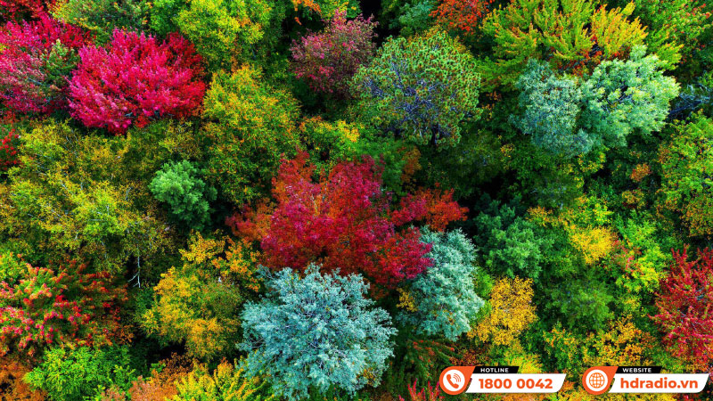 Máy chiếu 4K BenQ W4000i 