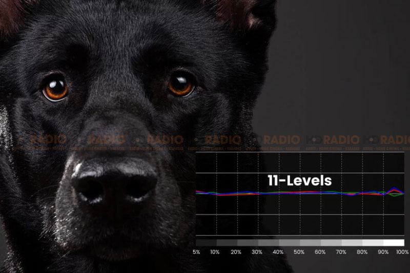 Máy chiếu 4K BenQ W4000i  