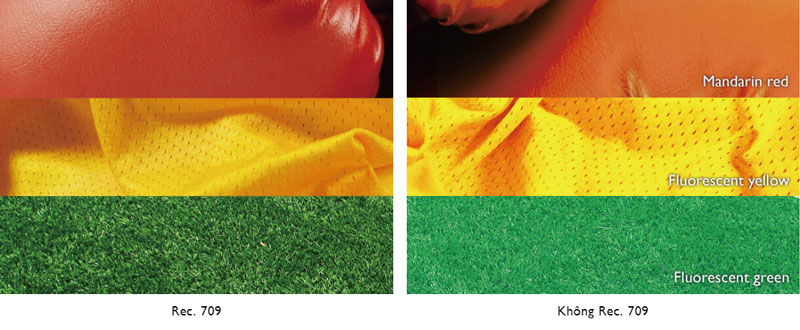 Công nghệ màu sắc Rec.709