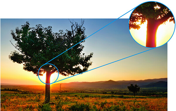 Máy chiếu 4K BenQ W1700