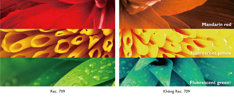 Độ chính xác màu sắc