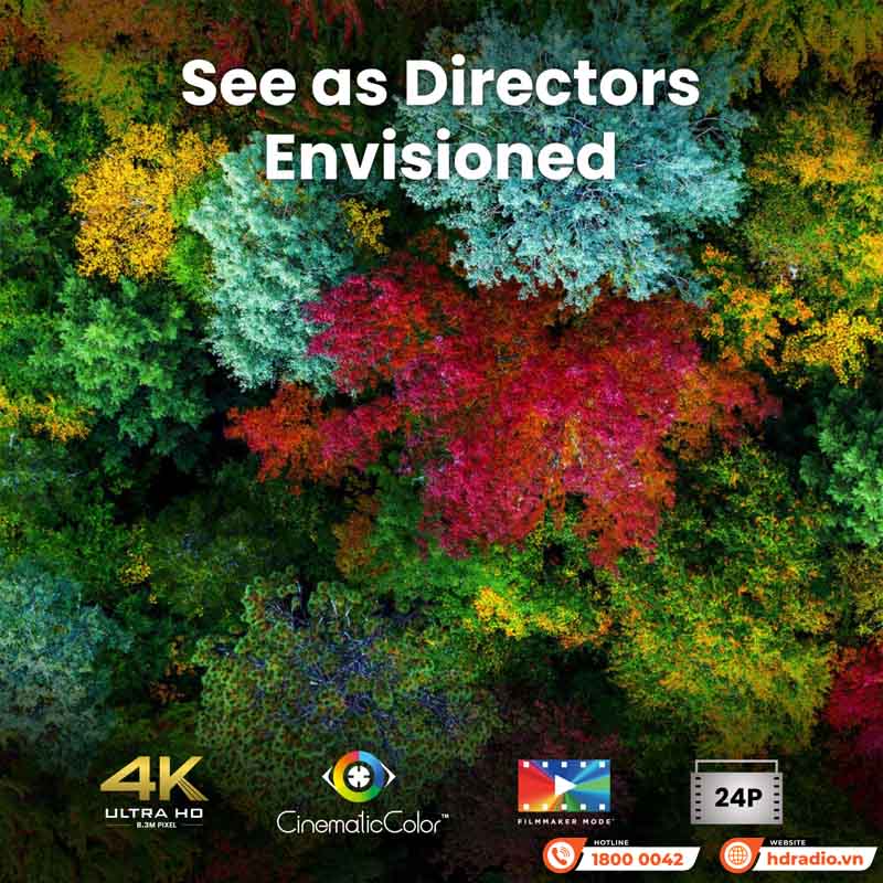 Máy chiếu BenQ W4100i