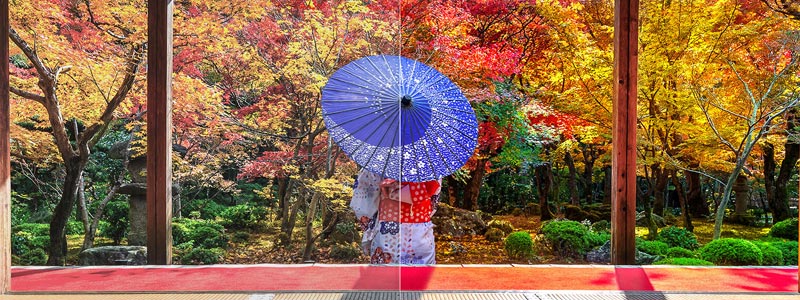 banh xe mau may chieu optoma cinemax p2