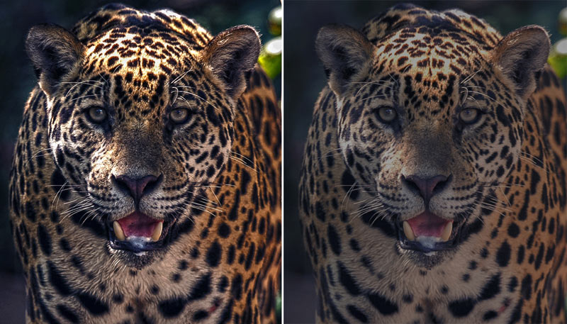 do tuong phan may chieu optoma cinemax p2