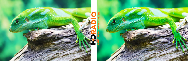 máy chiếu Optoma UHD60