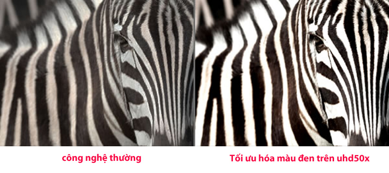 cong nghe diem den may chieu optoma uhd50x