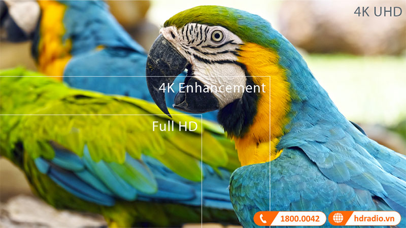 Màn hình 4K UHD đích thực