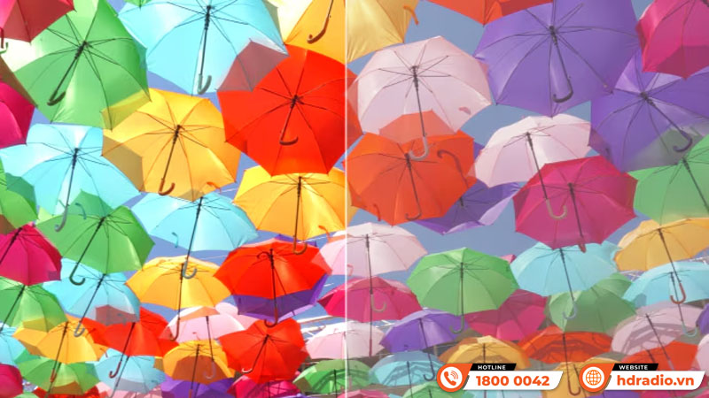 Máy chiếu 4K Sony Bravia 9 VPL-XW8100