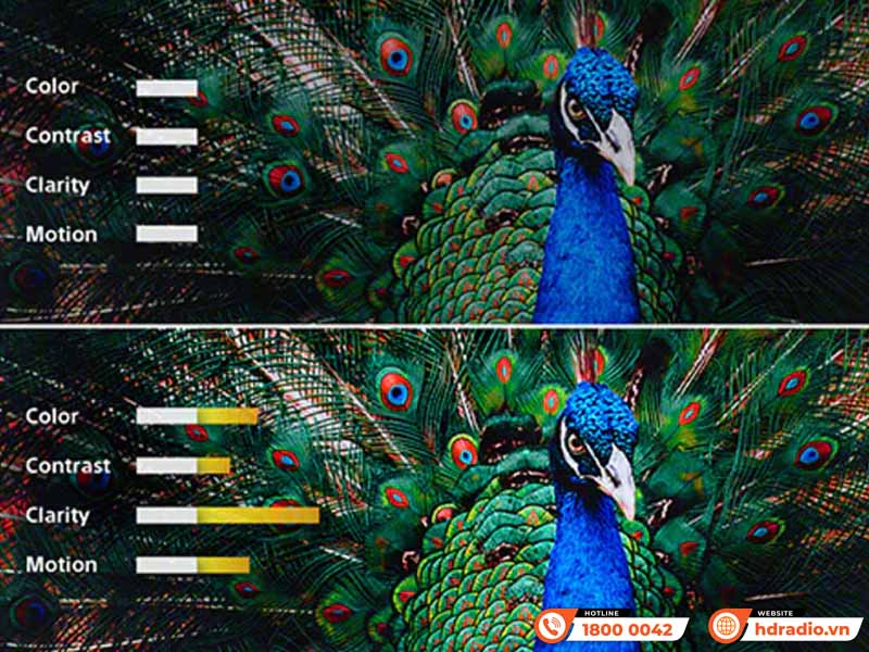 Máy chiếu 4K Sony Bravia 9 VPL-XW8100