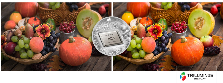 Máy chiếu 4K Sony VPL-VW260ES