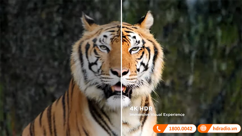 May chieu ViewSonic X11-4KP