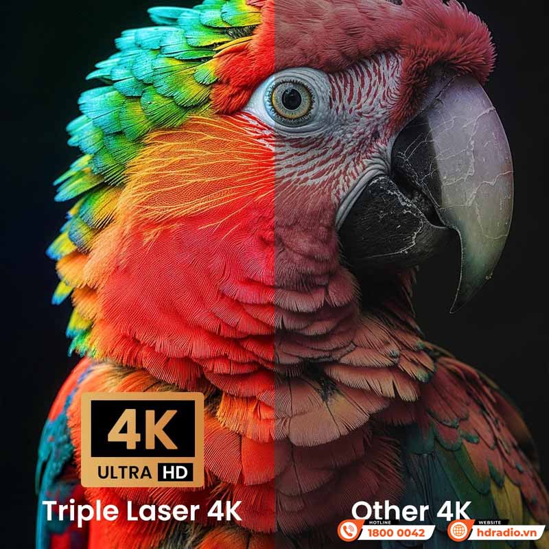 Máy Chiếu Jmgo N1s Ultra