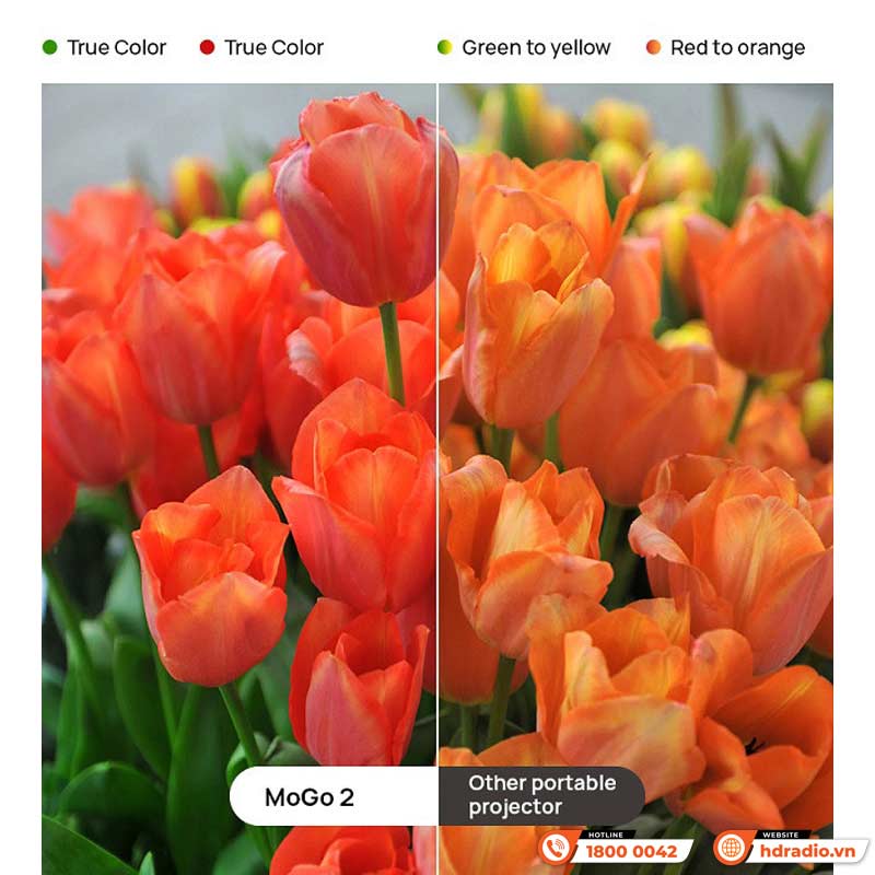 Màu sắc Máy chiếu XGIMI Mogo 2