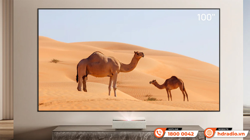 Màn chiếu ALR siêu gần XGIMI 100 inch