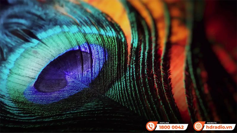 Máy chiếu XGIMI Horizon 20 Max