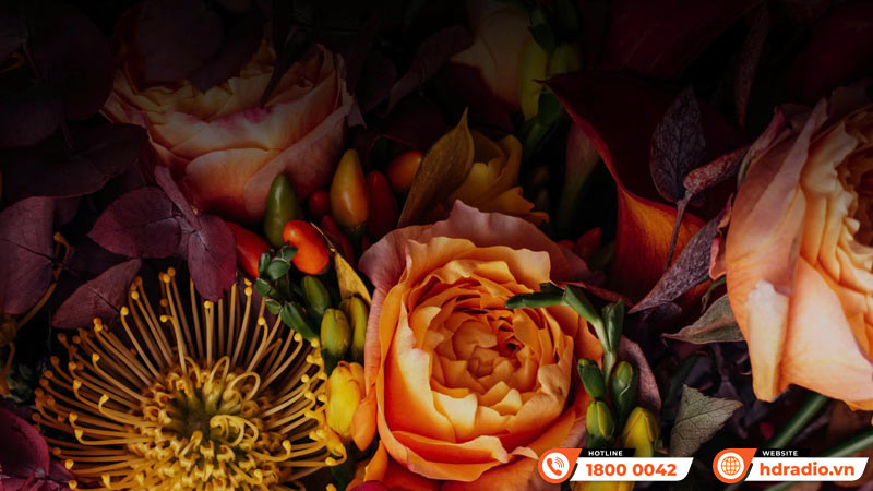 Máy chiếu XGIMI Horizon 20