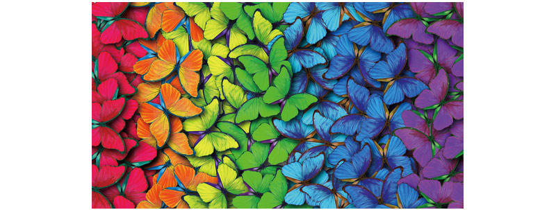 màu sắc Máy chiếu 4K JVC DLA-NP5BE