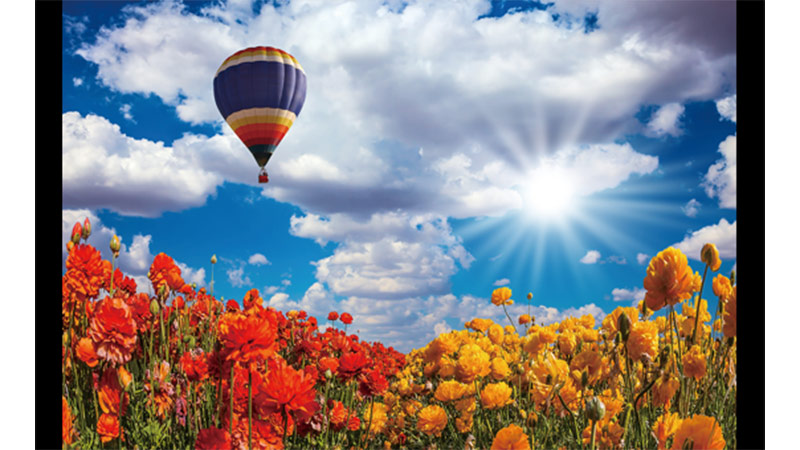 Máy chiếu JVC DLA-N5BE cho hình ảnh rõ nét với độ sáng