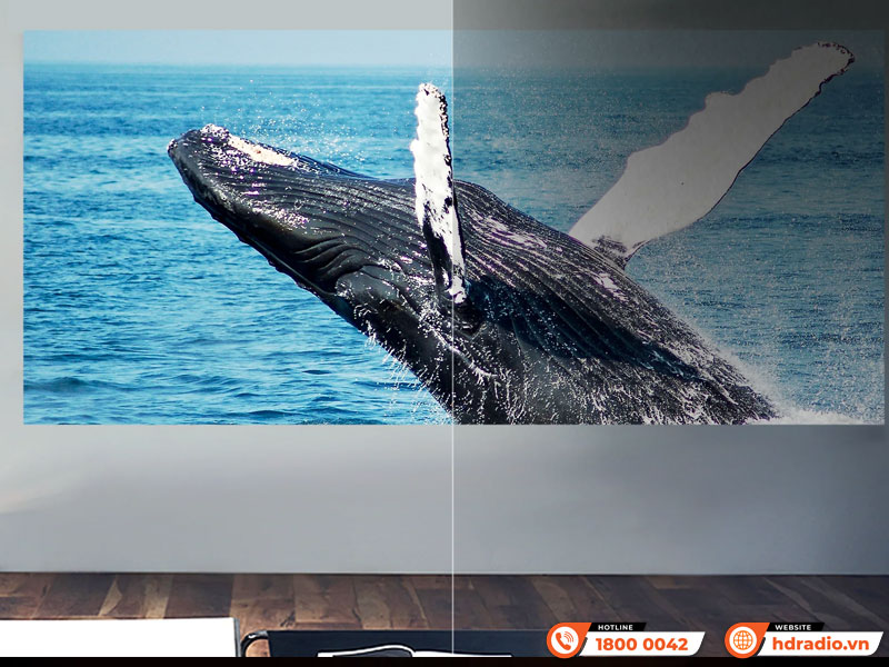 Máy chiếu Jmgo N1 Ultra 