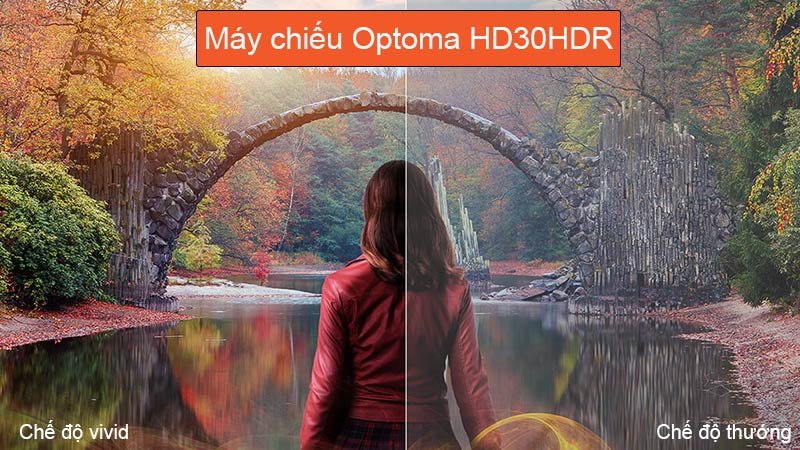 Chế độ vivid máy chiếu Optoma HD30HDR