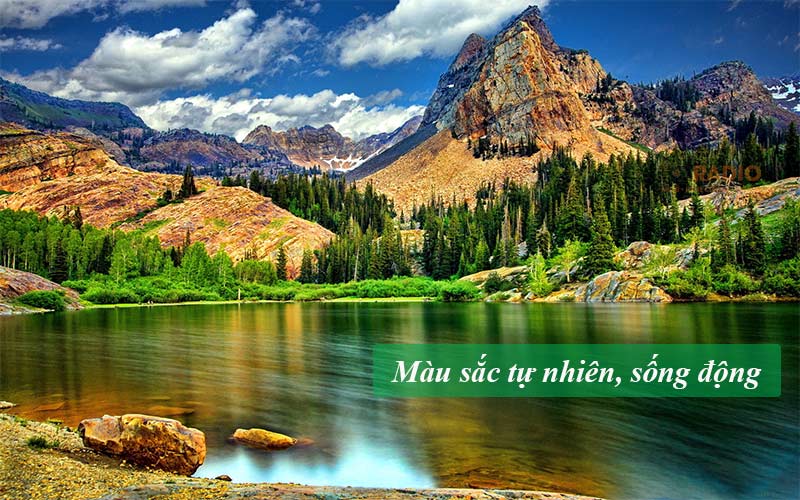 Máy Chiếu Optoma W412