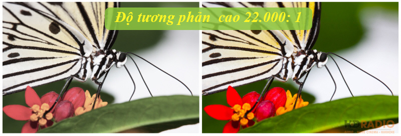 Máy Chiếu Optoma W412