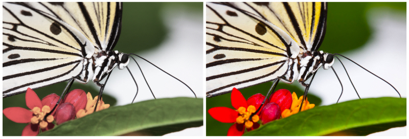 Giá máy chiếu optoma xa510