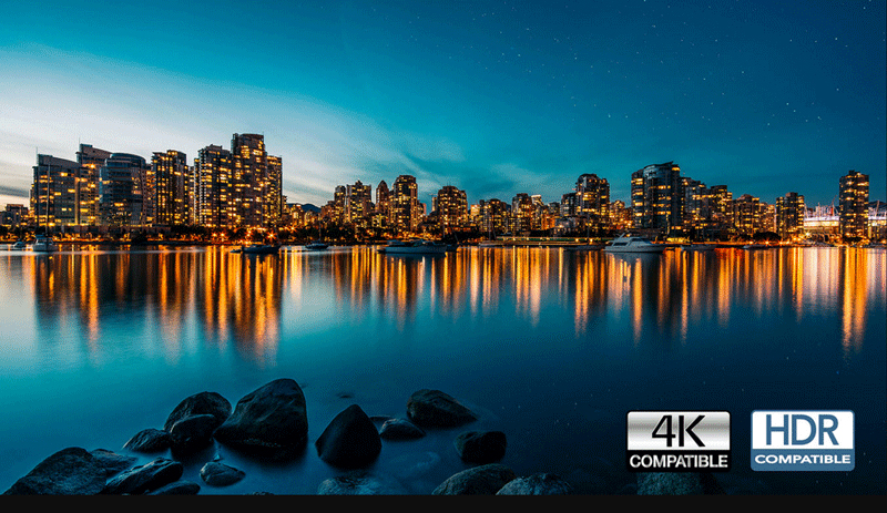 Máy chiếu Optoma HD29H