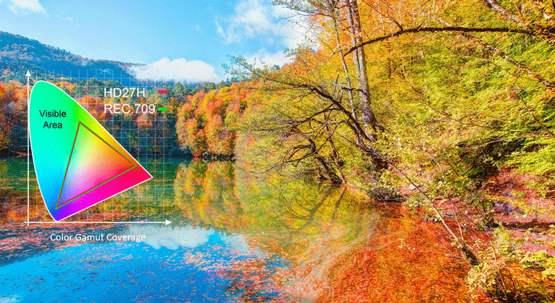 Máy chiếu Optoma HD29H