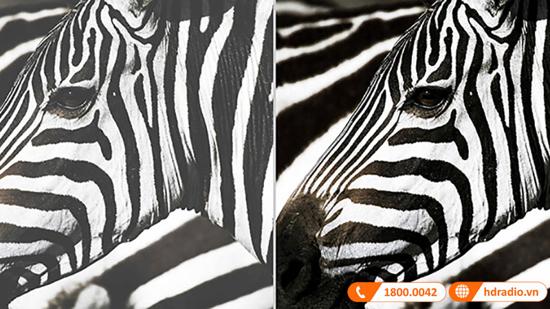 do tuong phan may chieu optoma w400le