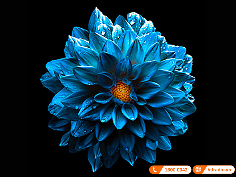 mau sac may chieu optoma w400lve