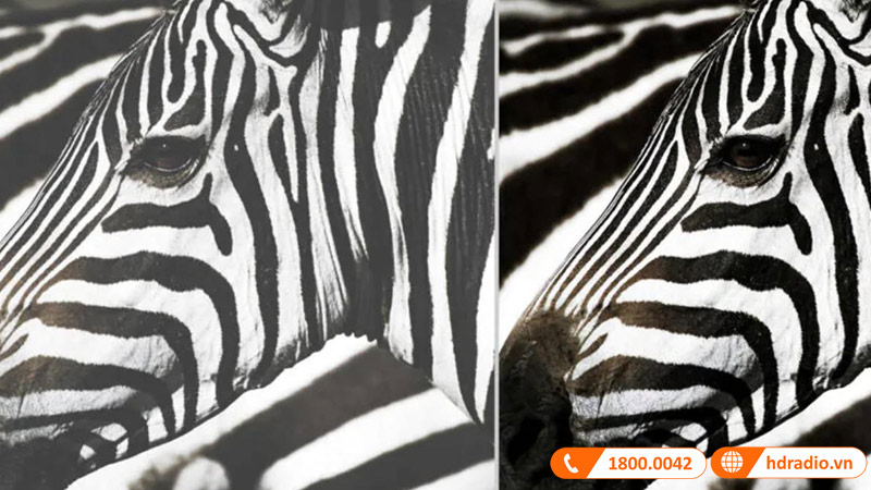 do tuong phanmay chieu optoma zw350