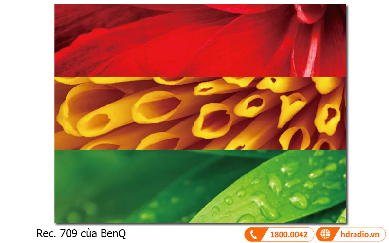 mau sac may chieu benq w1110