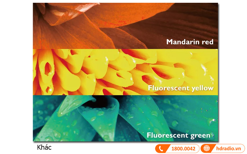 so sanh mau sac may chieu benq w1110