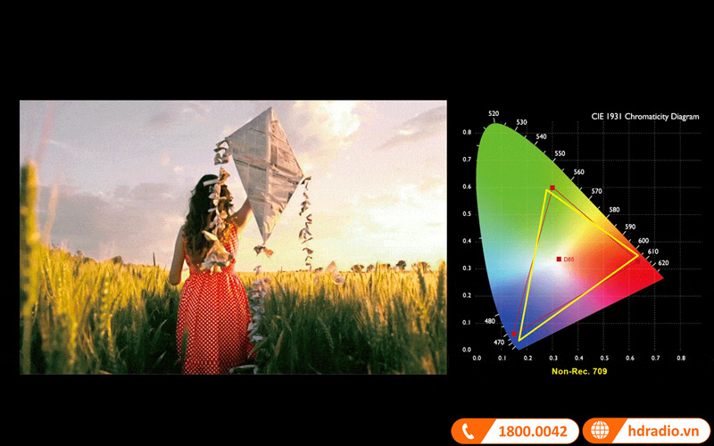 do chinh xac mau sac