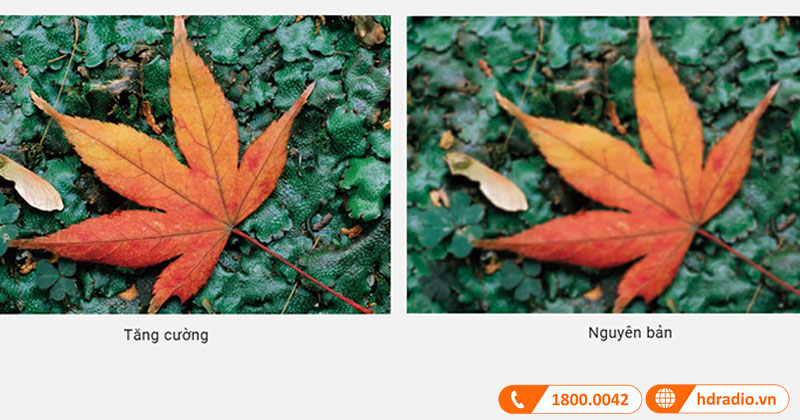 Tăng cường điểm ảnh Pixel Enhancer