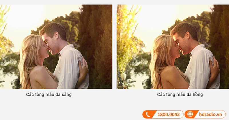 Hiệu chỉnh màu da (Flesh Tone)