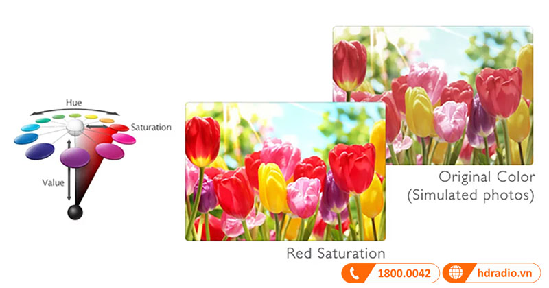 Kiểm soát màu sắc chính 3D độc lập