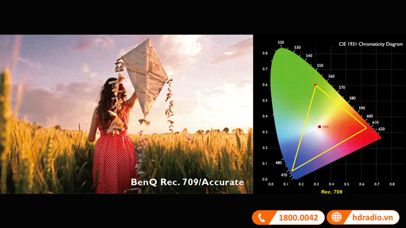 Độ chính xác màu sắc 100% Rec.709